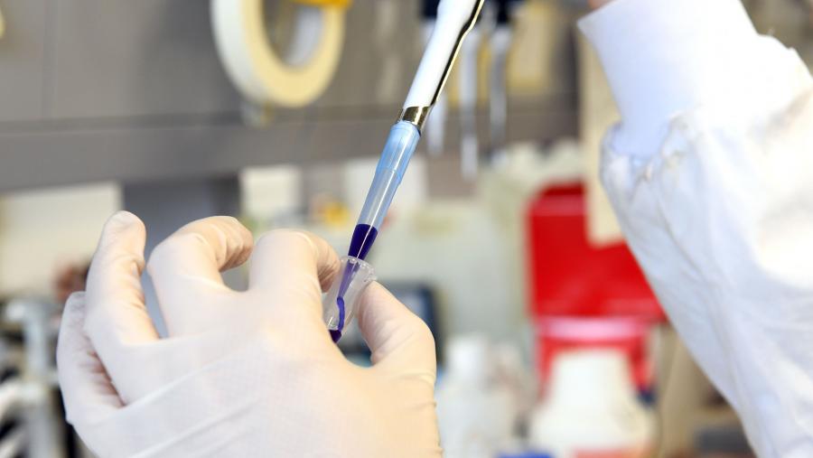 Logo da 24 edición da Conferencia Electrónica de Química de Síntese Orgánica