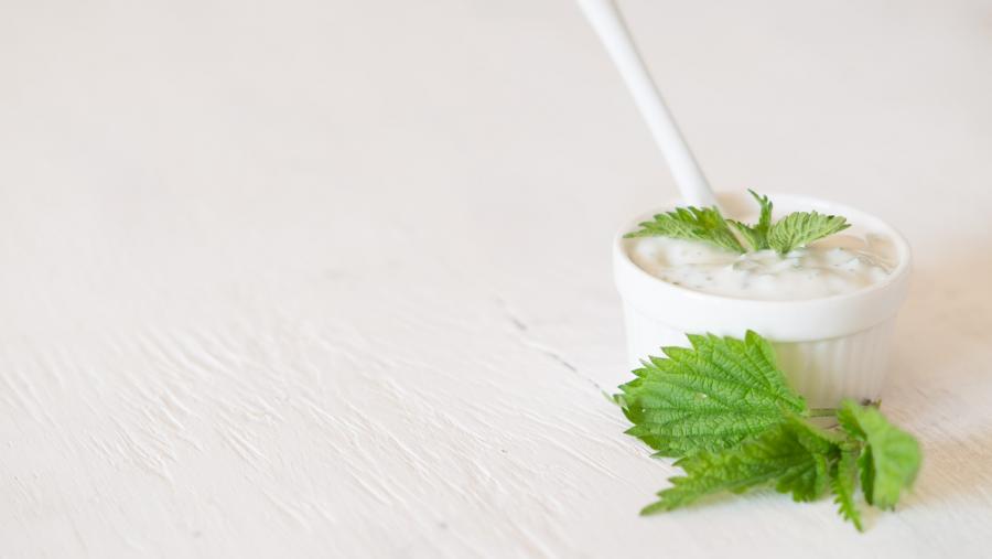 Imaxe dun iogur cunha ortiga