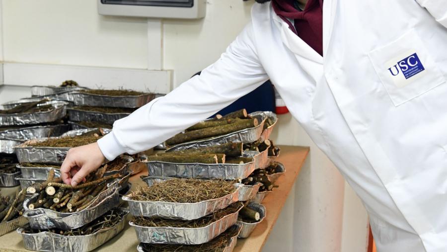 Un investigador nun laboratorio de I+D da EPS de Enxeñaría da USC. Foto: Santi Alvite