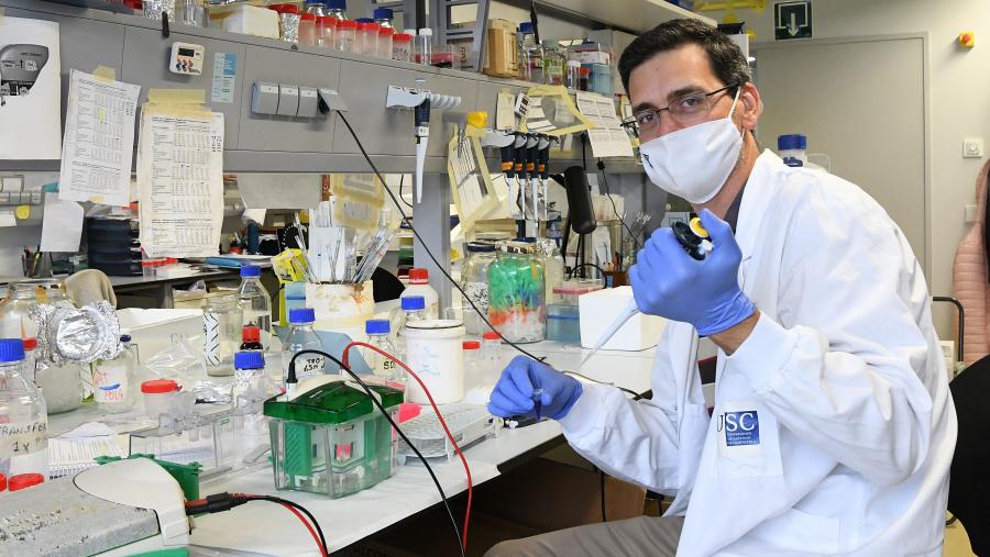 Rubén Nogueiras no seu laboratorio da USC. FOTO: Santi Alvite