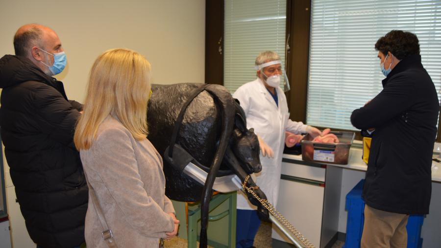 De esquerda a dereita, Gonzalo Fernández, Beatriz Vázquez, Javier Arias e Pedro García Herradón