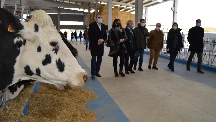 Autoridades políticas e académicas camiñan por un dos pasillos da Granxa do Campus Terra