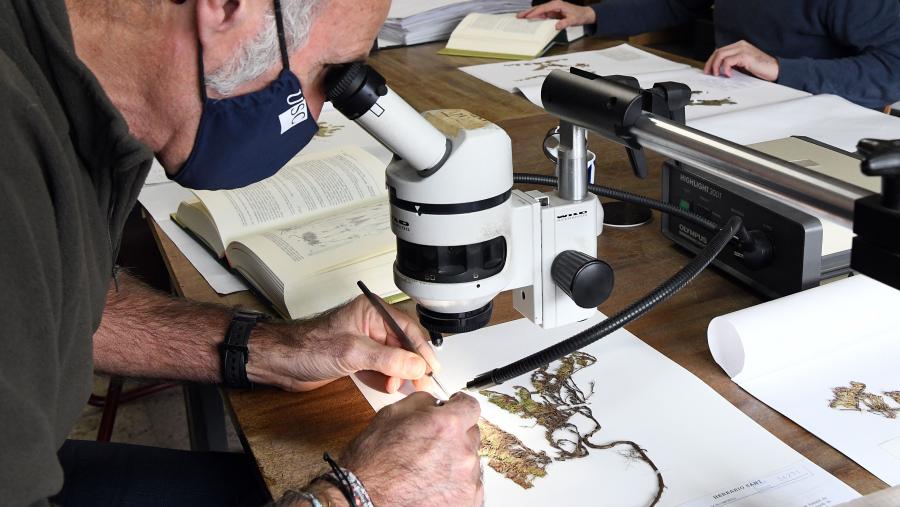 Detalle do traballo de catalogación e consercación desenvolvido no centro. Foto: Santi Alvite