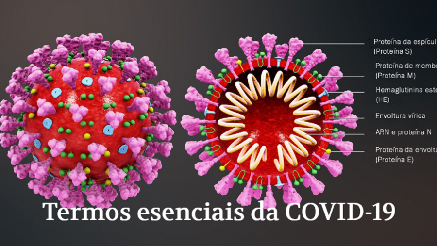 Imaxe da nova pubicación do SNL da USC