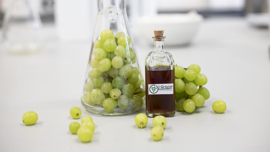 O proxecto GREENVITISV, que se desenvolverá nas instalacións do Edificio  Emprendia da USC, foi presentado por i-Grape Laboratory á convocatoria  H2020 Instrumento Peme da Unión Europea en outubro de 2020
