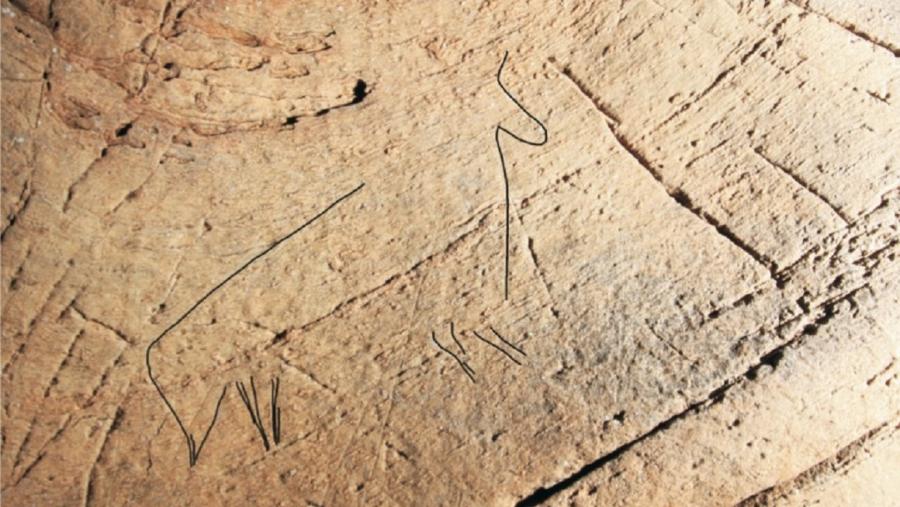 As representacións de animais na arte rupestre distínguense polas súas características xeométricas