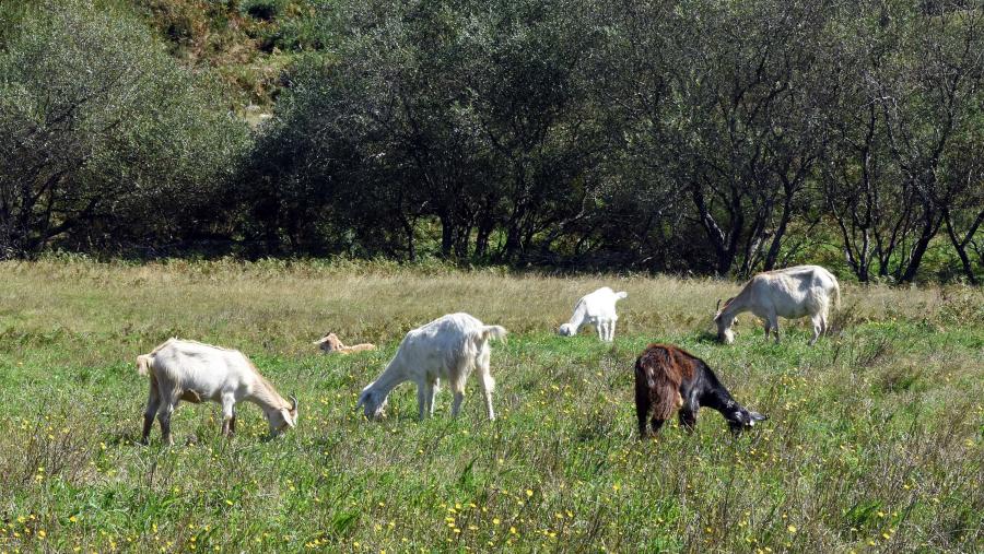 AgroMar constitúe así un marco acaído para a reflexión no eido agroalimentario. FOTO: Santi Alvite