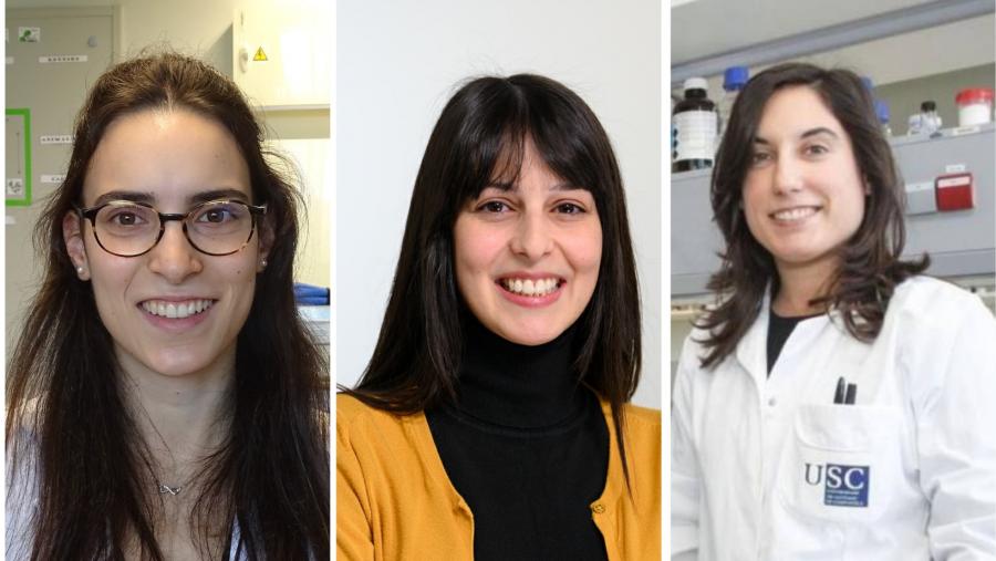 De esquerda a dereita, Mellid, Samaridou e Martínez Ledo. FOTO: CiMUS