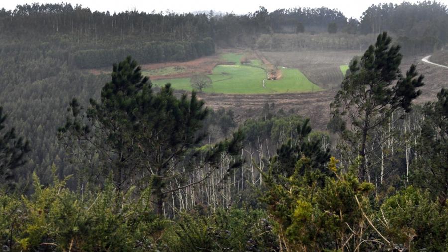 Unha paisaxe do territorio galego. Foto: Santi Alvite