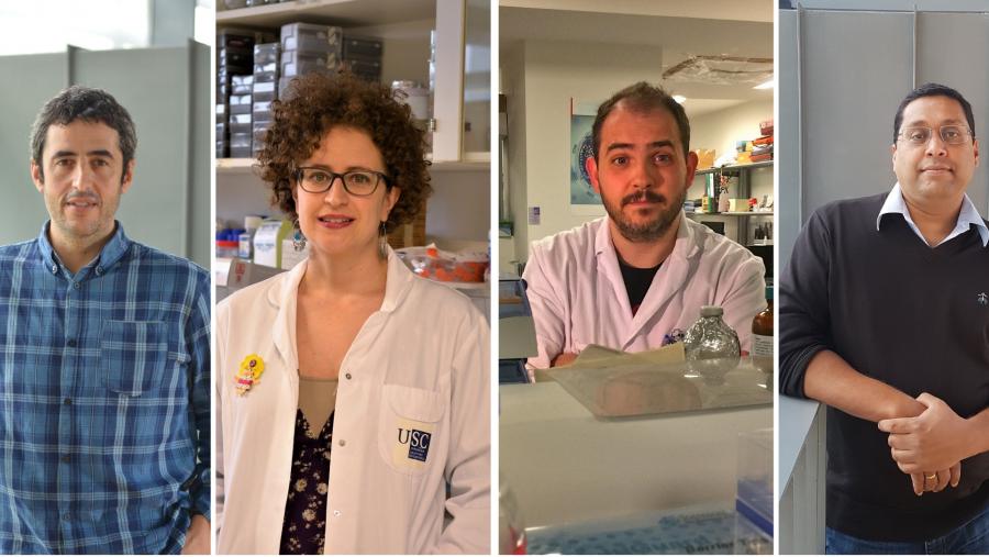 De esquerda a dereita, Pablo Aguiar, Diana Guallar, Ricardo Villa e Ashwin Woodhoo