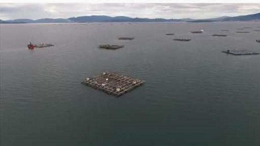 Imaxe do vídeo 'Cultivando na auga: tradición e innovación'