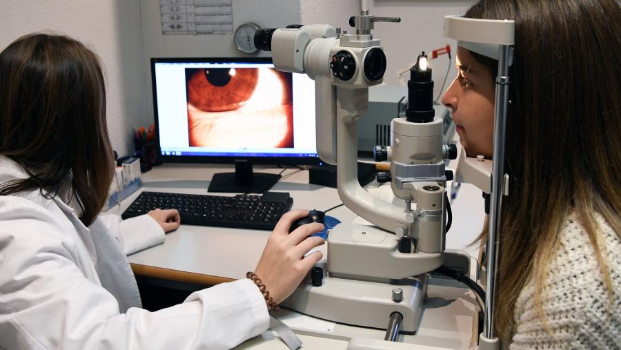 O estudo realiza asemade un balance do impacto que este tipo de achado pode ter sobre o desenvolvemento de posibles terapias futuras. FOTO: Santi Alvite