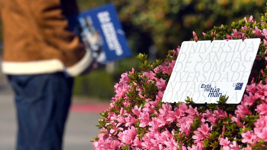 Das catro estacións do ano, a primavera boreal é a segunda en duración. FOTO: Santi Alvite