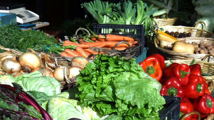 Adinu Galicia defende a importancia dunha alimentación saudable. Foto: Santi Alvite