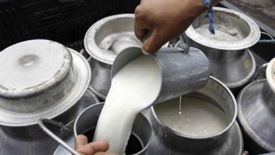 Unha persoa manipula leite cru