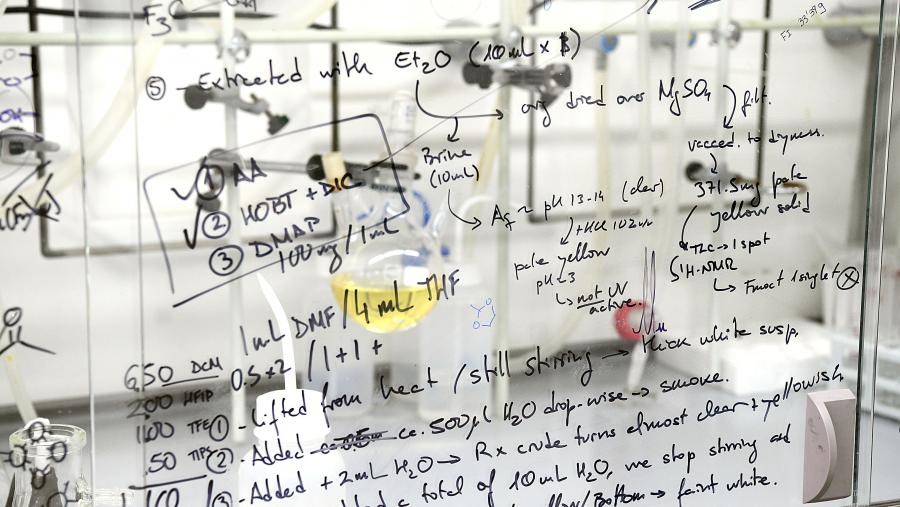 O alumnado adquirirá coñecementos e destrezas na área temática do seu proxecto de investigación. FOTO: Santi Alvite