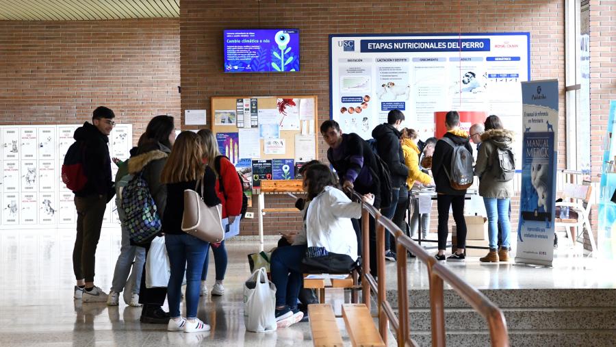 Ademais dunha enquisa de excelencia académica, esta clasificación toma en consideración os datos bibliométricos de Web of Science e InCites para medir a grao de produtividade investigadora de cada institución. Imaxe de arquivo. FOTO: Santi Alvite