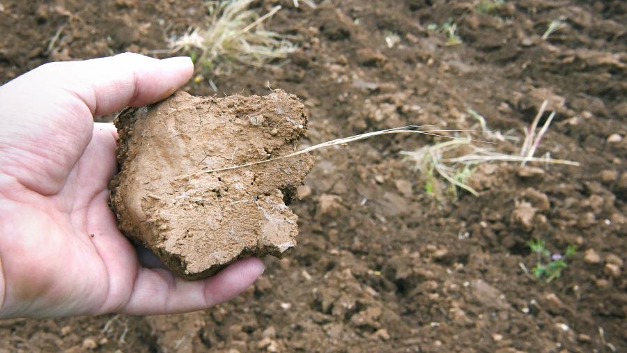 A investigación premiada analizou o comportamento de todos os períodos sen chuvia dende 1979 ata 2016. FOTO: Santi Alvite