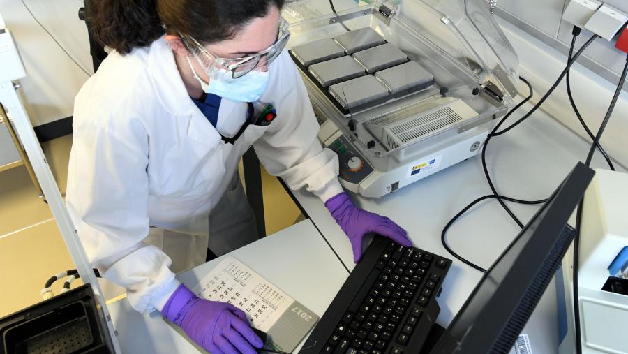 ExoGAG é un método de purificación de vesículas extracelulares. Imaxe de arquivo dun laboratorio da USC. FOTO: Santi Alvite