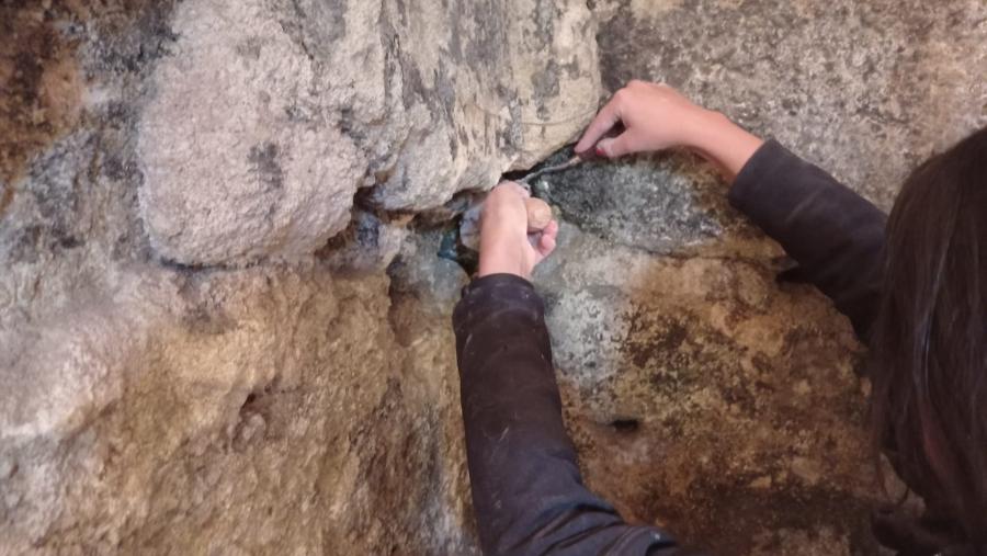 Traballo de recollida de mostras en 2020. FOTO: Rebeca Blanco-Rotea