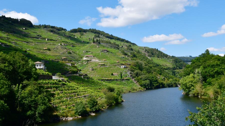 Paraxe Fluvial da Ribeira Sacra