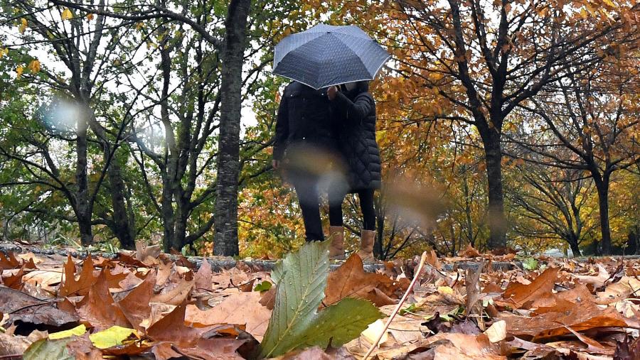 A nova estación vaise prolongar ata as 16.59 horas do 21 de decembro. FOTO: Santi Alvite