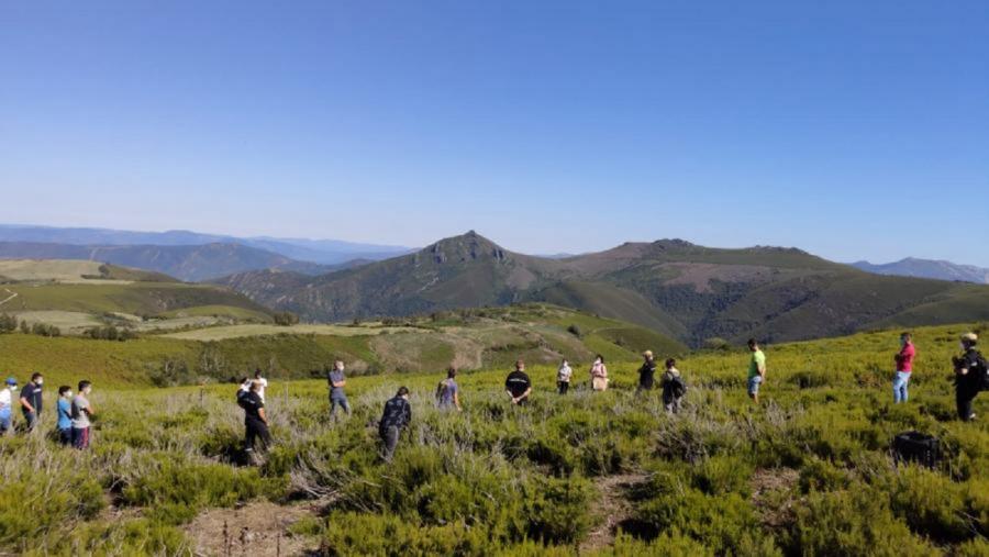 Parcelas dos Ancares nas que se combinaron queimas e pastoreo no marco do proxecto Open2preserve
