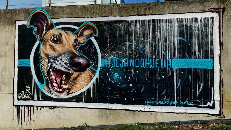 Detalle do graffiti de Diego As no Campus de Lugo