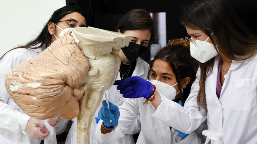 Clases prácticas en Medicina 