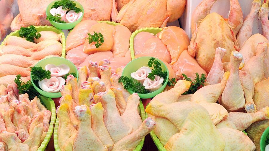 Sanidade Animal e Microbioloxía