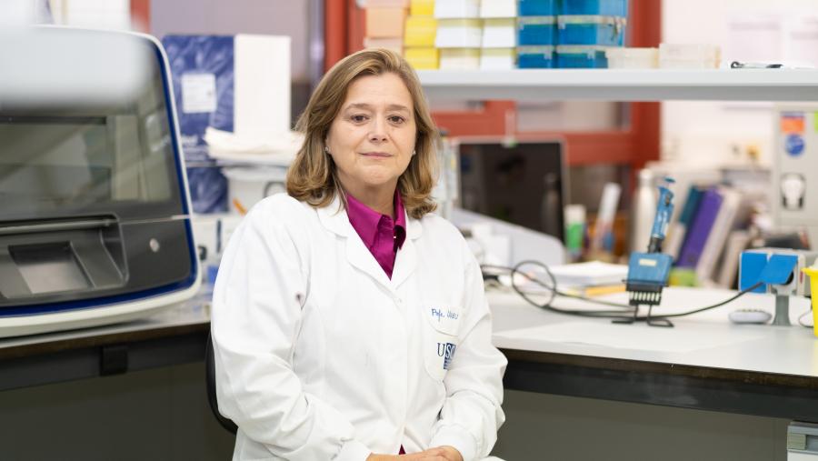 Victoria Lareu Huidobro