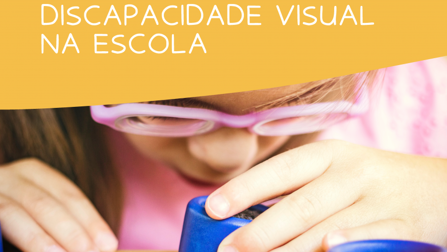 Curso 'O alumnado con discapacidade na escola ordinaria’