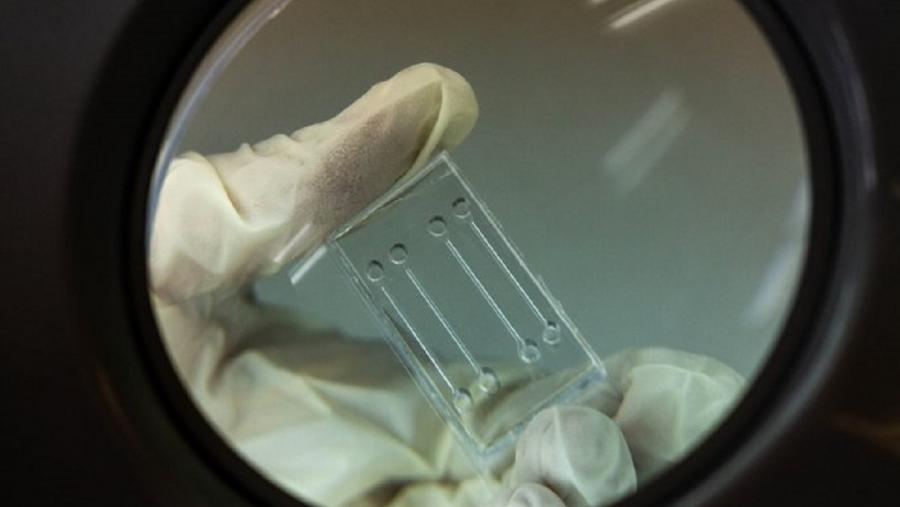 Esta rolda de investimento destinarase ao desenvolvemento e lanzamento de modelos específicos no mercado farmacéutico