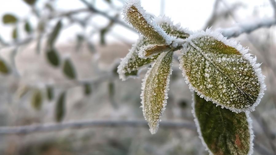 O inicio do inverno coincide co paso do Sol polo punto Capricornio da Eclíptica ou Solsticio de decembro. FOTO: Santi Alvite