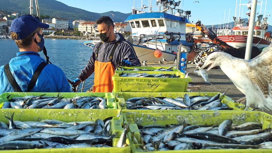 Imaxe de arquivo dun porto galego. FOTO: Santi Alvite