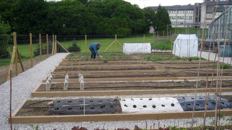A sede universitaria luguesa atópase fondamente aliñada cos ODS, salienta Montserrat Valcárcel, para logo precisar que esta implicación está xustificada polas principais liñas e áreas de investigación do Campus de Lugo