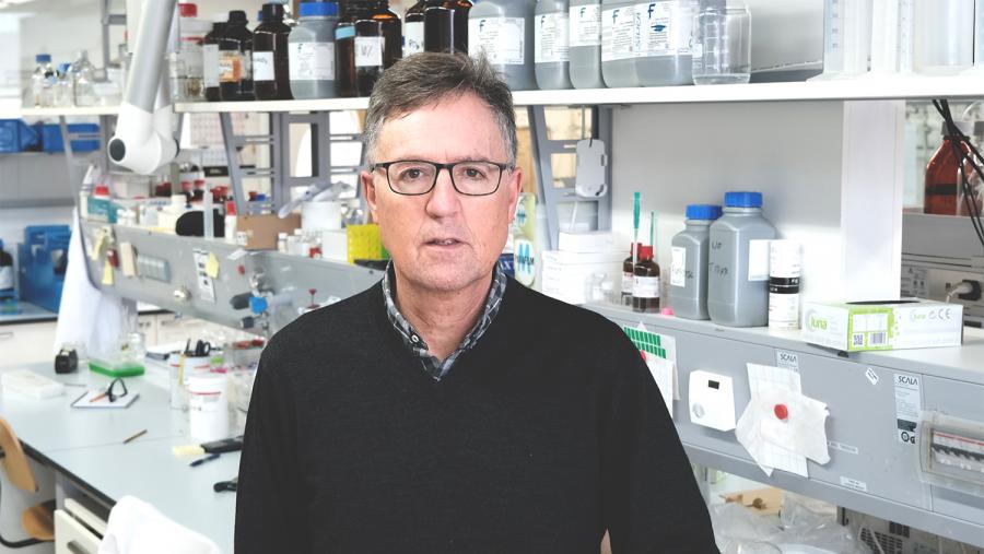 O grupo MetBioCat dirixido polo profesor Mascareñas é xa un referente polos seus desenvolvementos na área da química biolóxica