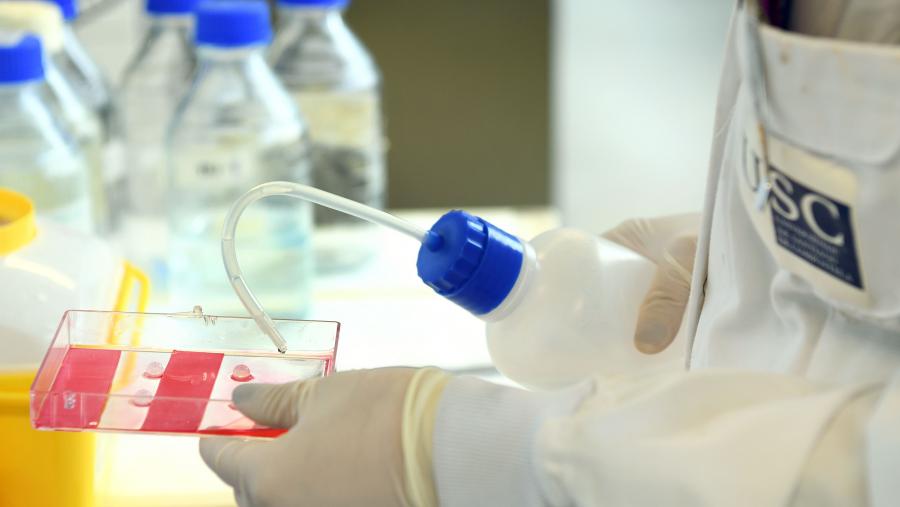 O Acelerador de Transferencia está aberto aos grupos de investigación de todas as áreas de coñecemento que teñan identificado algún resultado de investigación con potencial de transferencia. FOTO: Santi Alvite