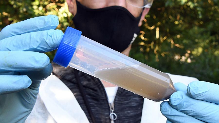 O sistema proposto en Nigrán trata as augas residuais dun edificio de empresas propiedade de Zona Franca de Vigo. FOTO: Santi Alvite