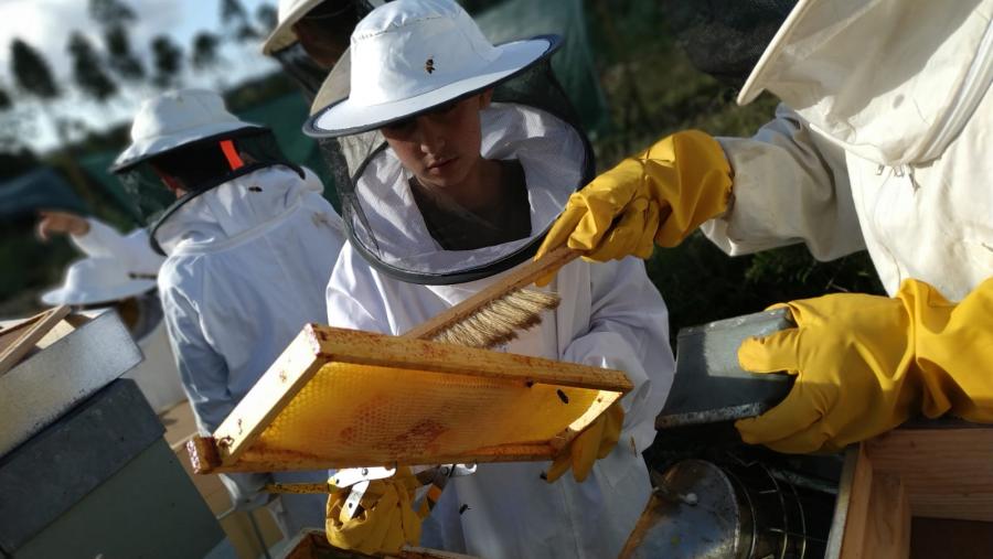 Participantes nun dos ciclos de formación profesional agraria impartidos na EFA Fonteboa. Foto: Facebook da EPA Fonteboa.