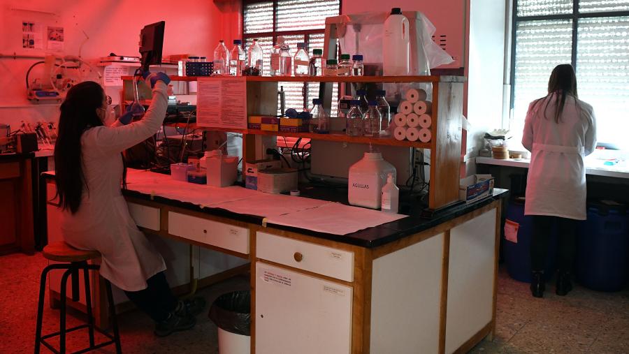 BioIncubaTech, incubadora de Alta Tecnoloxía para o fomento da innovación e transferencia de biotecnoloxía no ámbito da saúde e as tecnoloxías alimentarias, é un proxecto liderado pola área de Valorización, Transferencia e Emprendemento ( AVTE) da USC. FOTO: Santi Alvite