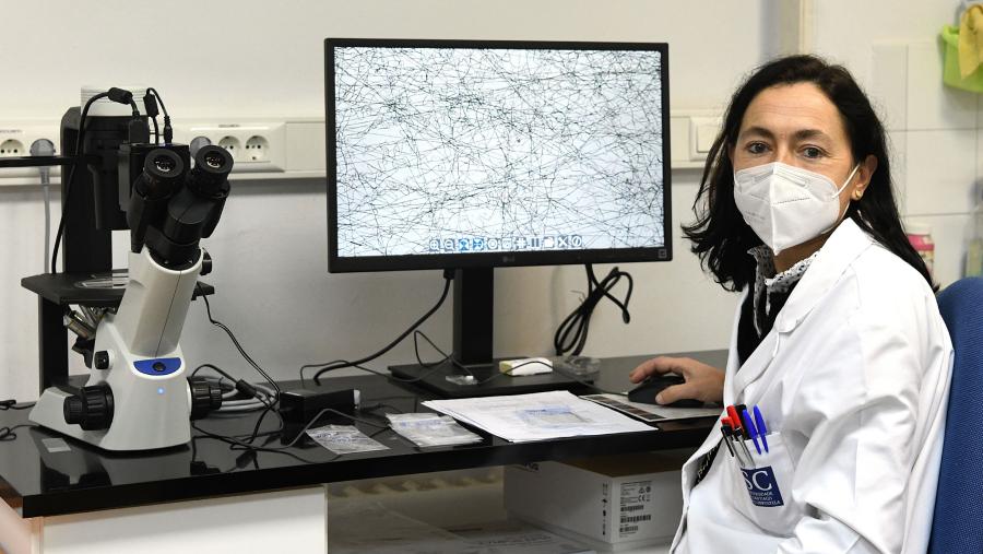 A xuntanza organizada por membros do grupo I+DFarma, coordinados por Carmen Alvarez Lorenzo, acollerá a máis de 50 investigadores. FOTO: Santi Alvite