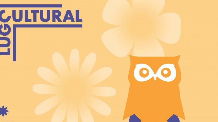 Cartaz do VII Findecurta