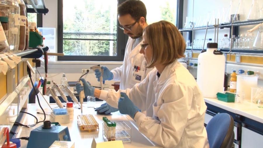 Nos últimos anos, os antioxidantes naturais coma a rutina e a esculina atraeron o interese de investigadores, consumidores e das industrias alimentaria, farmacéutica, cosmética e nutracéutica, debido ás súas excelentes propiedades bioactivas