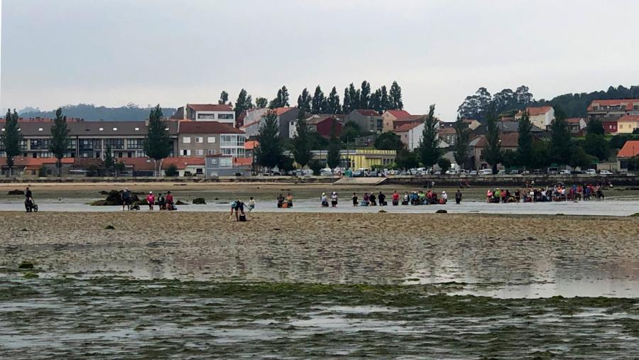 Galicia xa desenvolveu un amplo rango de estratexias de adaptación, como son a colleita de especies de alto valor comercial e de maior abundancia nos bancos marisqueiros