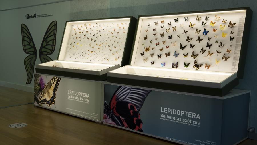 Mostra 'Bolboretas do mundo' no MHN