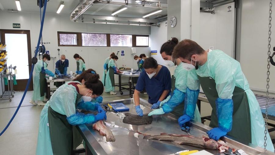 Participantes na sesión de dianóstico de enfermidades en peixes, en Veterinaria