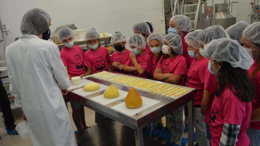 Escolares desgustan queixos galegos na Aula de Produtos Lácteos da USC