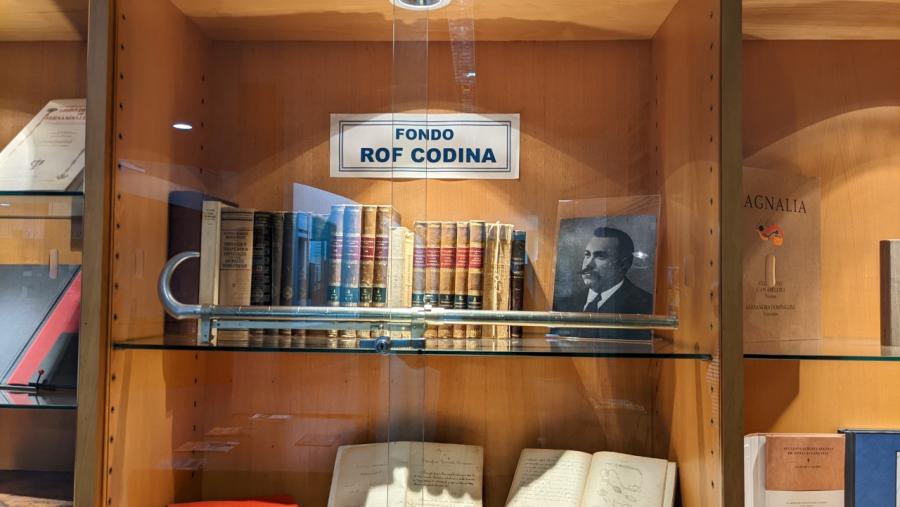 Fondos bibliográficos e réplica do bastón zoomórfico patentado por Rof Codina, expostos na biblioteca Intercentros de Lugo