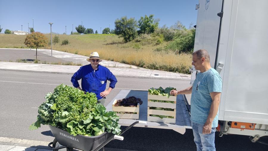 Personal do Banco de Alimentos recolle a produción hortícola da finca de prácticas da EPS de Enxeñaría